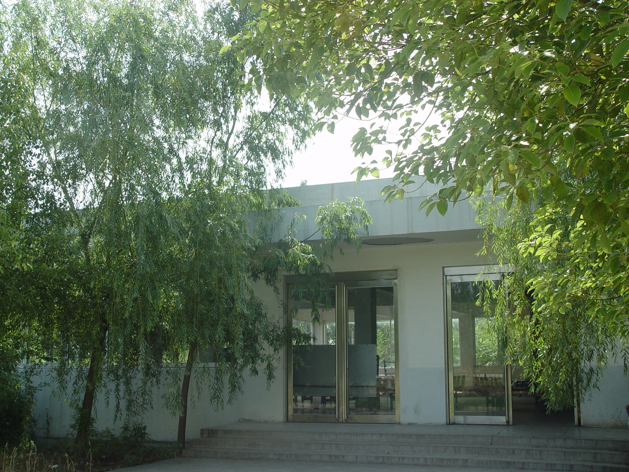 15.JPG