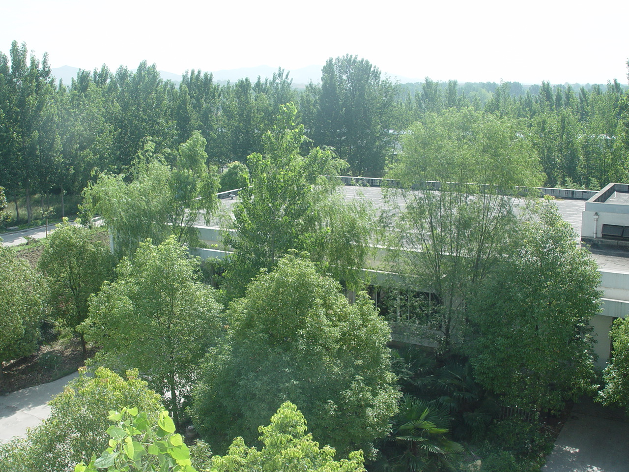 10.JPG
